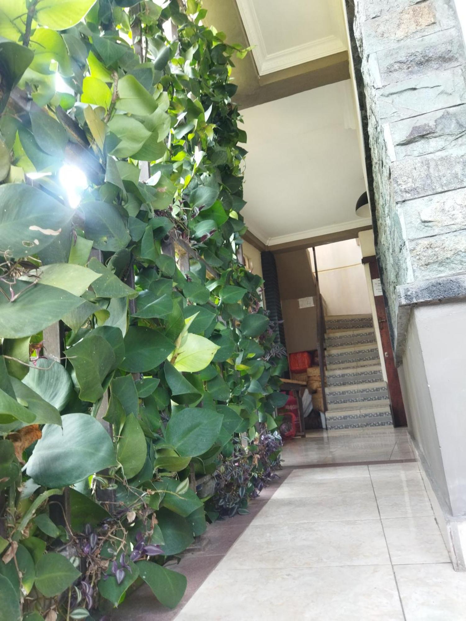 Wahwik'S House Hotel Ubud Kültér fotó