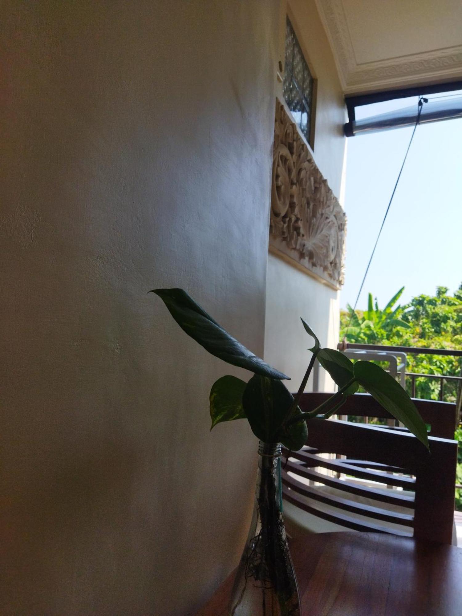 Wahwik'S House Hotel Ubud Kültér fotó