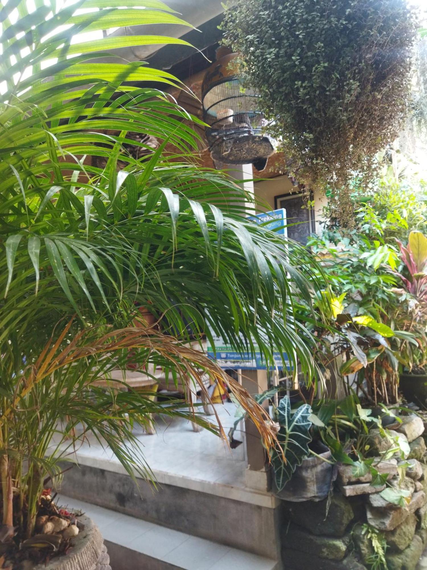Wahwik'S House Hotel Ubud Kültér fotó