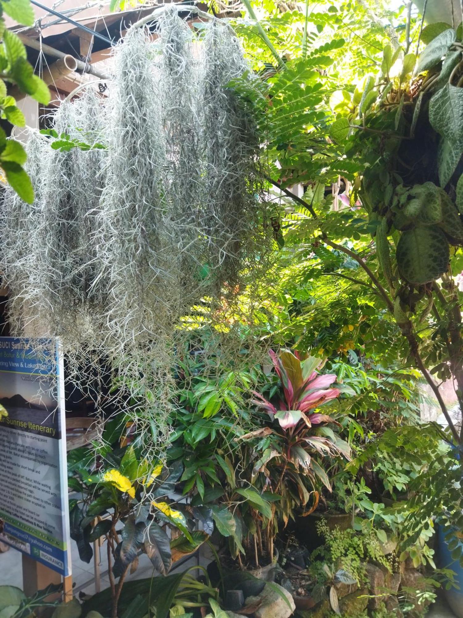 Wahwik'S House Hotel Ubud Kültér fotó