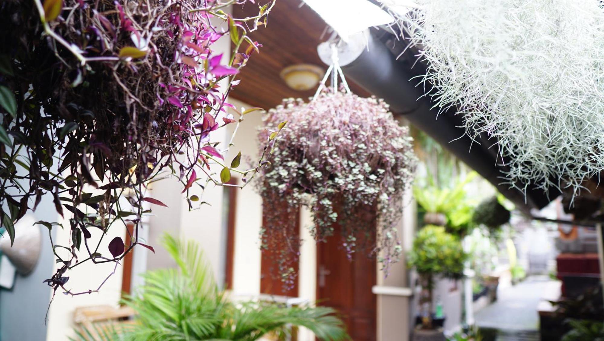 Wahwik'S House Hotel Ubud Kültér fotó